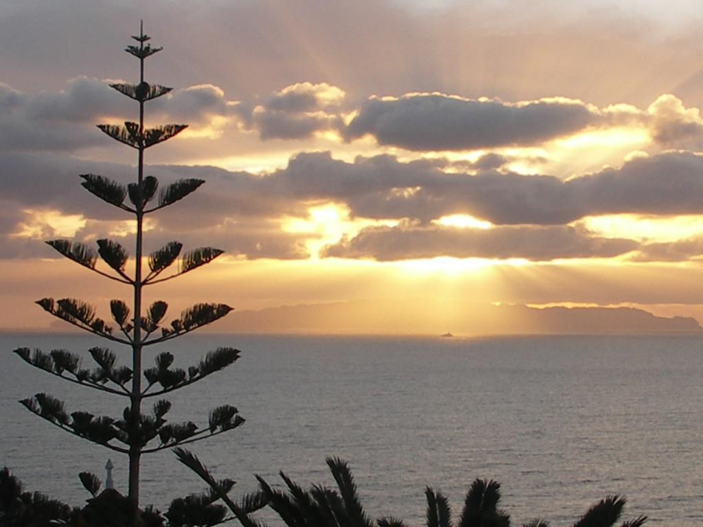 Apartment Palma Madeira Wandern Und Tauchen Caniço Szoba fotó